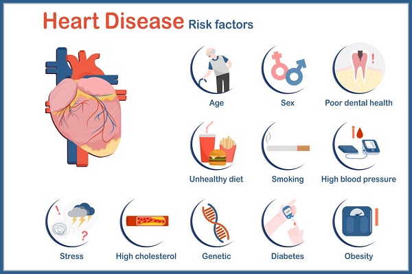 Heart Attack: Causes, Symptoms, and First Aid Explained