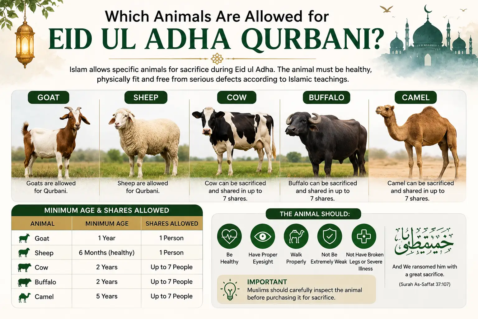 Which animals are allowed for Eid ul Adha Qurbani with Islamic sacrifice rules